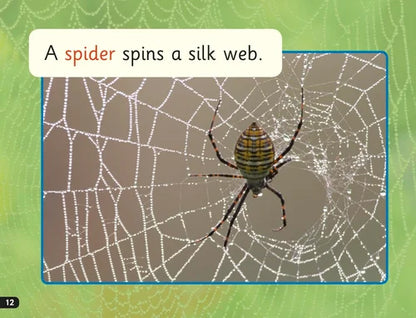 Spider on a silk web with text 'A spider spins a silk web' on a green background