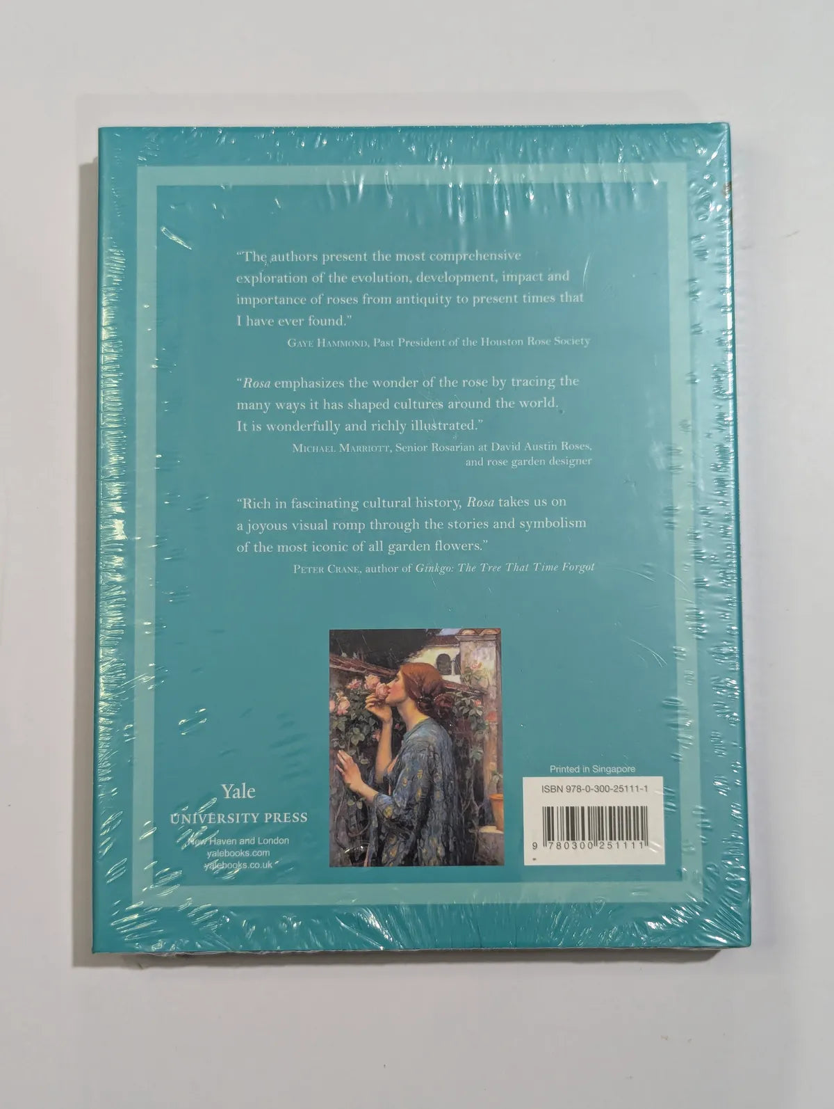 Back cover of a book with text and a photo of two people embracing, on a white background.