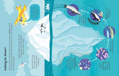 Educational illustration of an iceberg with various marine life and processes depicted.