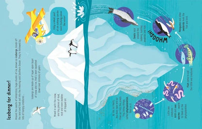 Educational illustration of an iceberg with various marine life and processes depicted.