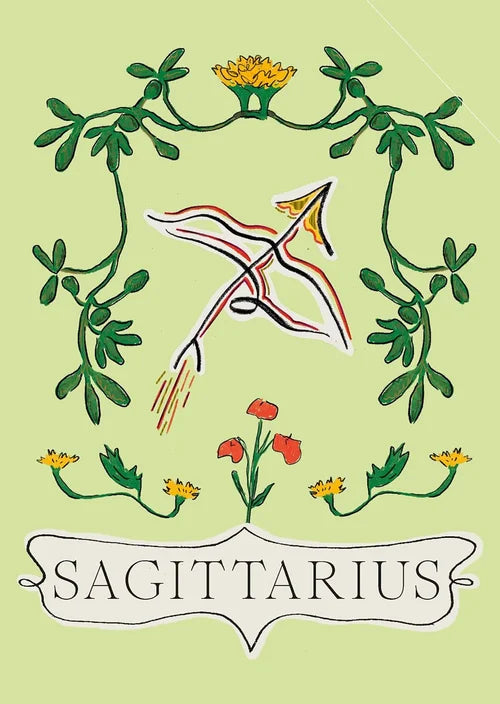 Sagittarius zodiac sign illustration with decorative elements on a light green background
