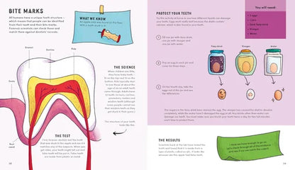 Educational page about bite marks with illustrations and text on a white background