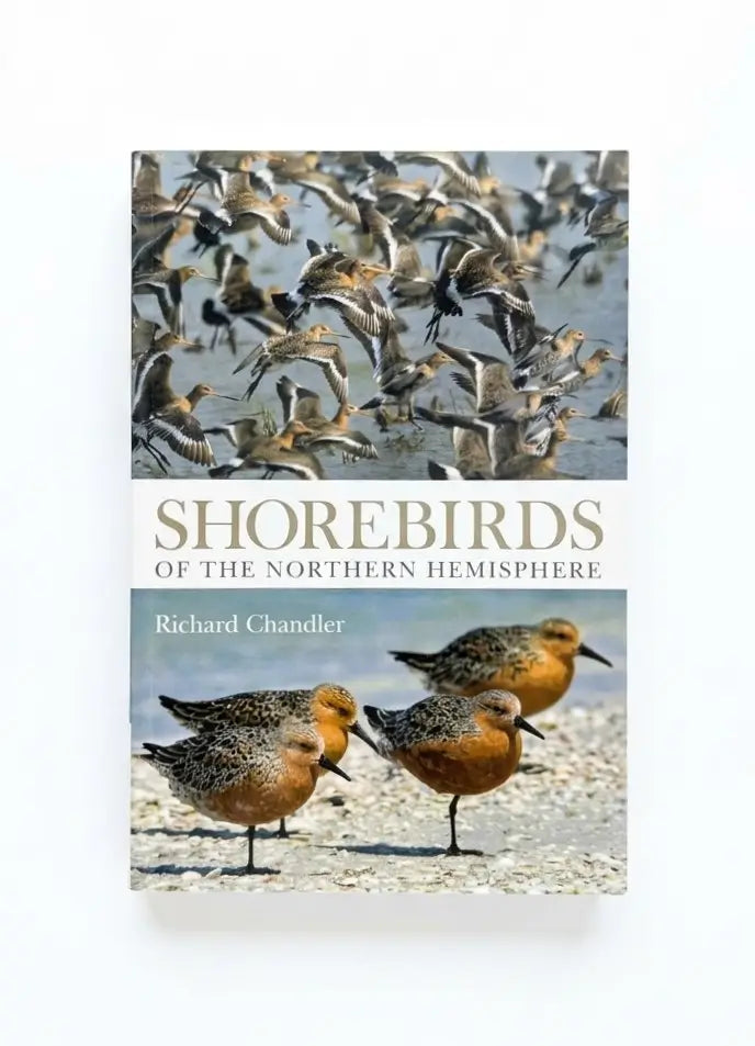 Shorebirds of the Northern Hemisphere (Helm Photographic Guides)
