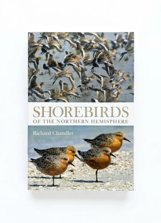 Shorebirds of the Northern Hemisphere (Helm Photographic Guides)