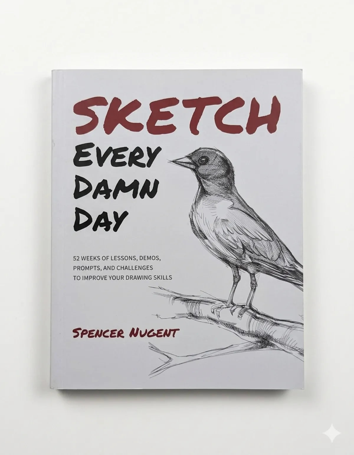 Book titled 'Sketch Every Damn Day' with a bird illustration on a white background