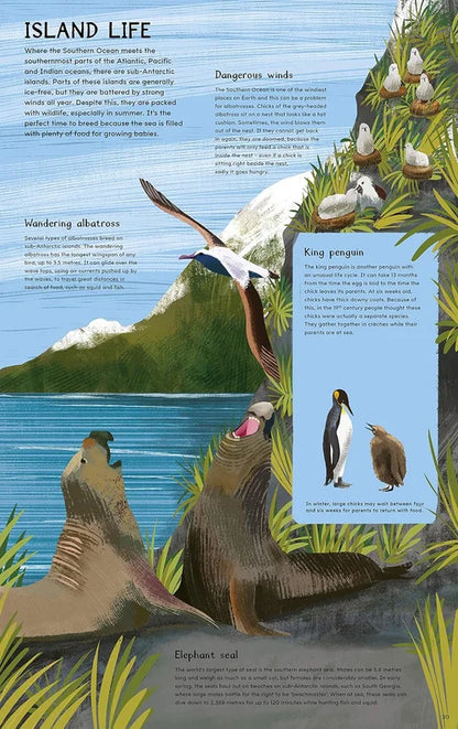 South Pole: From Pole to Pole: a Flip Book