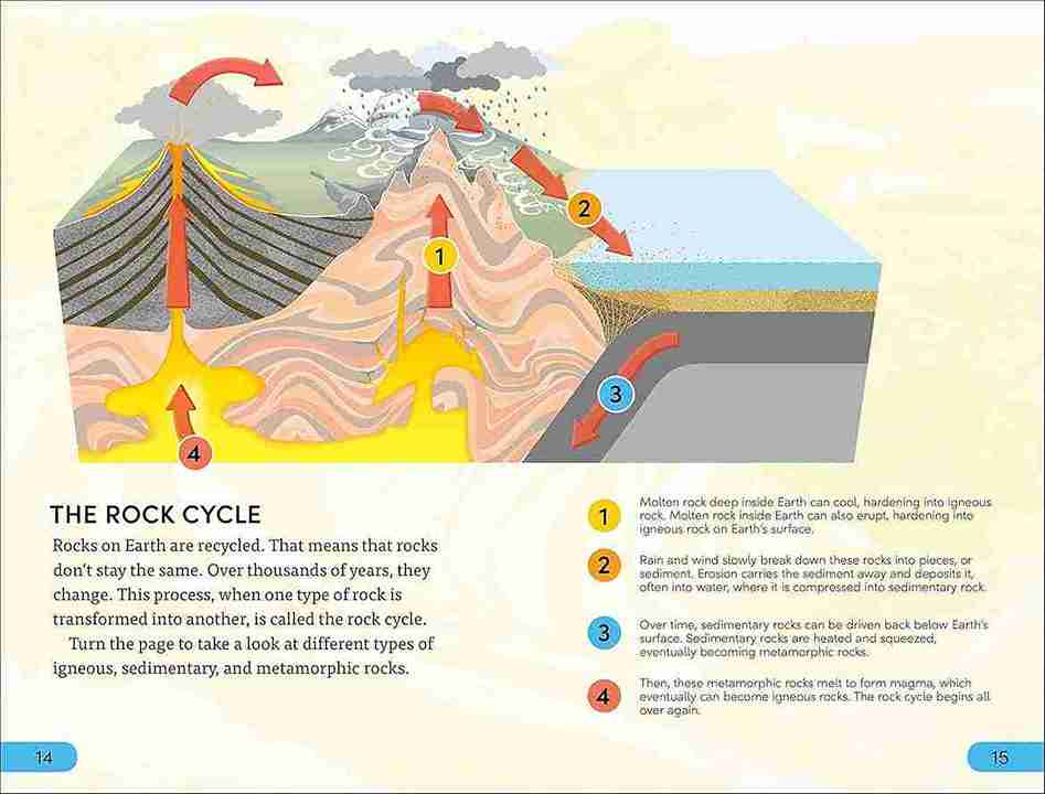 Educational illustration of the rock cycle with labeled steps on a yellow background.