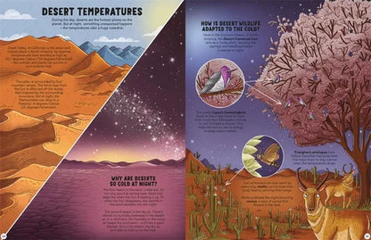 Educational illustration about desert temperatures and wildlife adaptations.