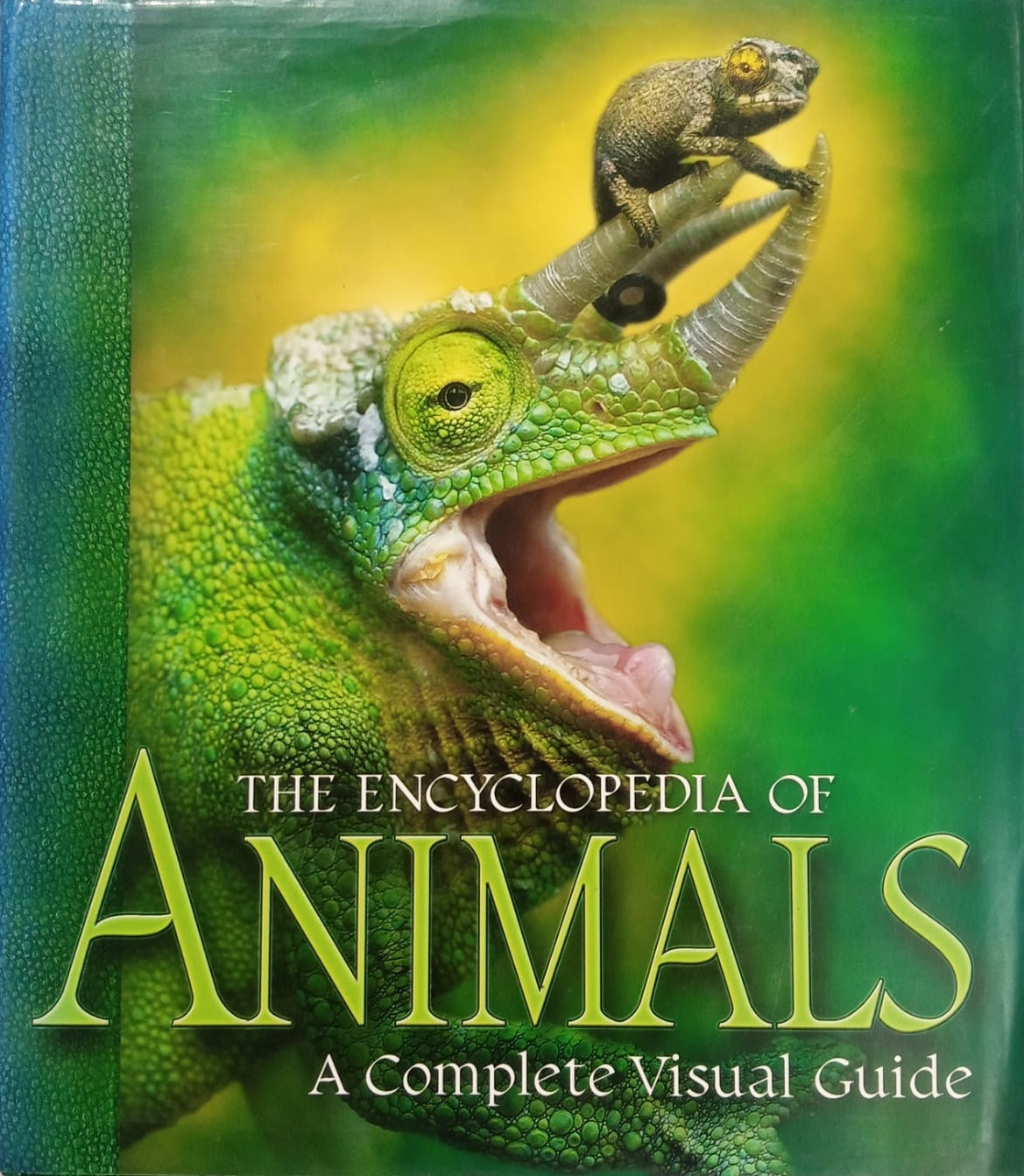 The image shows the cover of a preloved hardcover book titled 'The Encyclopedia of ANIMALS - A Complete Visual Guide'. The book's cover features an image of a chameleon with its tongue out, against a background of green and yellow hues.