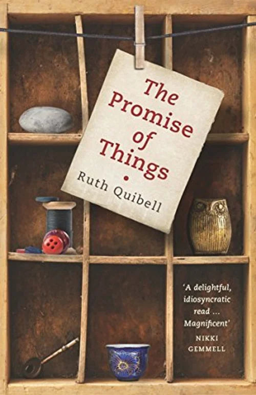 Book cover of 'The Promise of Things' by Ruth Quibell with rustic wooden shelf background.
