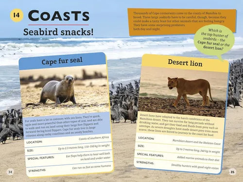 Educational book page about coastal animals with Cape fur seal and Desert lion cards.