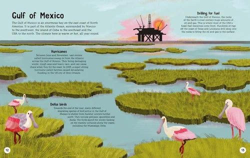 Illustration of the Gulf of Mexico with birds, a platform, and text about hurricanes and delta birds.