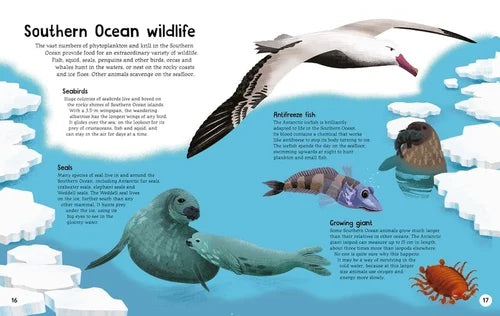 Illustration of Southern Ocean wildlife including a bird, seals, fish, and penguins on a blue background with icebergs.