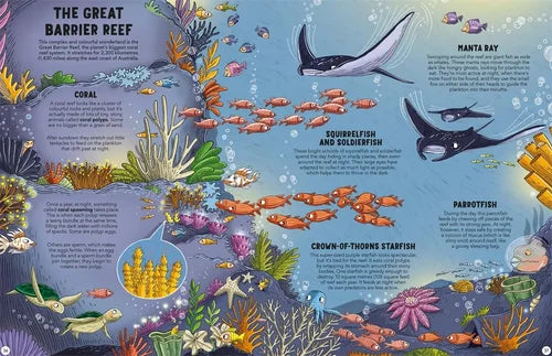 Educational illustration of the Great Barrier Reef with various marine life and coral.