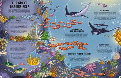 Educational illustration of the Great Barrier Reef with various marine life and coral.