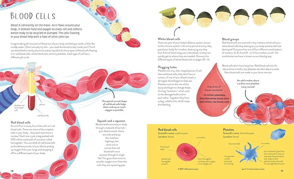 Thirty Trillion Cells