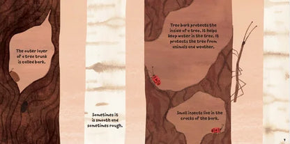 Educational illustration about tree bark with text and a ladybug on a beige background