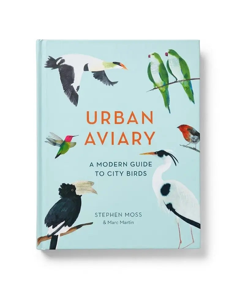 Urban Aviary: A modern guide to city birds