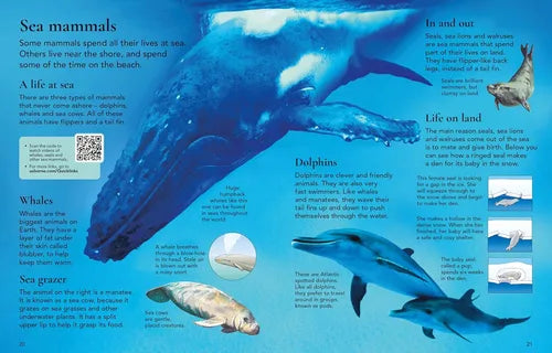 Educational poster about sea mammals with a whale illustration and text.