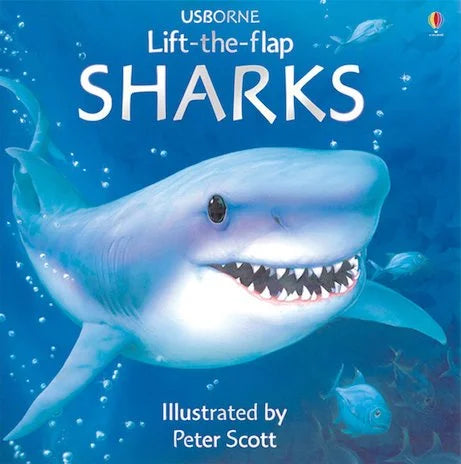 Usborne Lift-the-flap Sharks For Interactive Kids Book by Books Alert