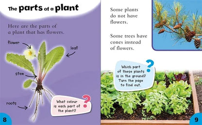 Educational book page about plant parts with illustrations and text.