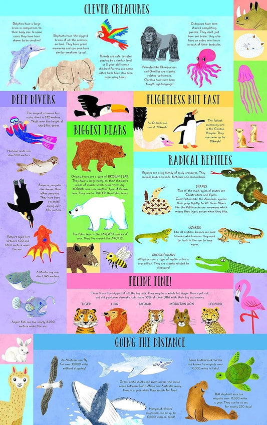 What Did Dinosaurs Eat for Dinner? Questions and Answers Lift the flaps in this colourful
