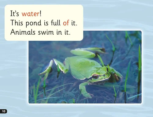 Green frog in water with text about a pond