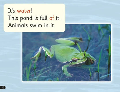 Green frog in water with text about a pond