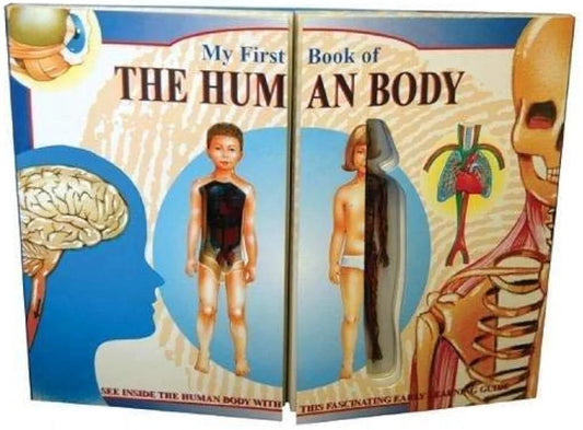 My First Book of THE HUMAN BODY