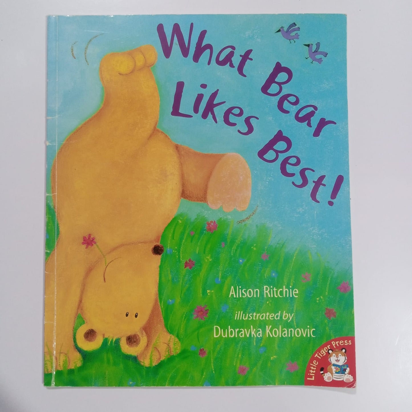 What Bear Likes Best! (Preloved)