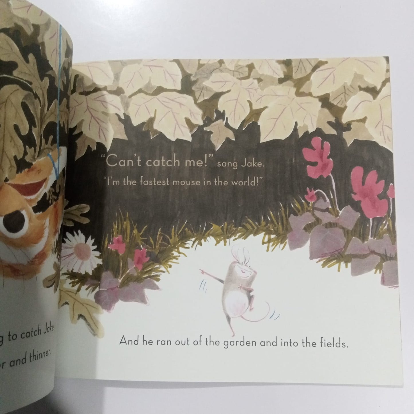 Can't Catch Me! (Preloved)