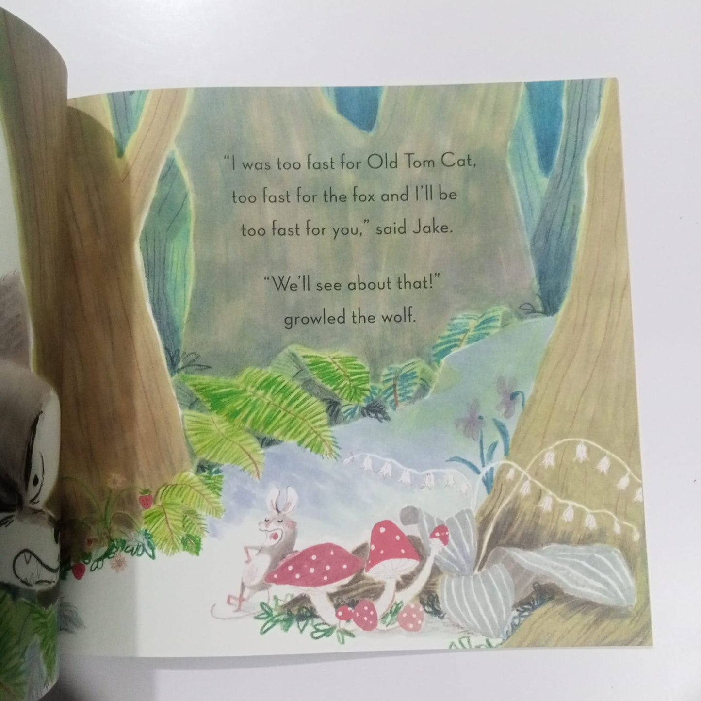 Can't Catch Me! (Preloved)