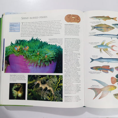 The Encyclopedia of Animals-A Complete Visual Guide (Preloved)