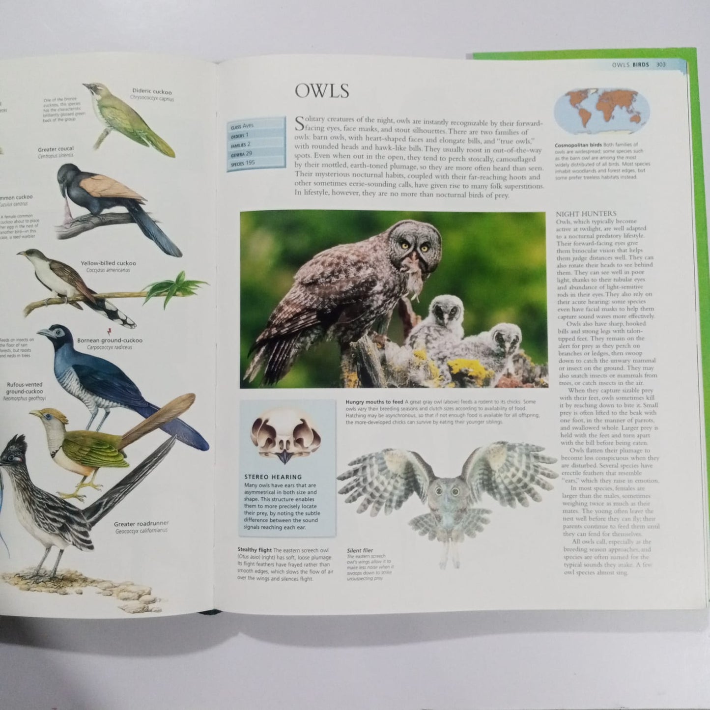 The Encyclopedia of Animals-A Complete Visual Guide (Preloved)