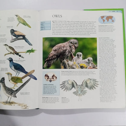 The Encyclopedia of Animals-A Complete Visual Guide (Preloved)