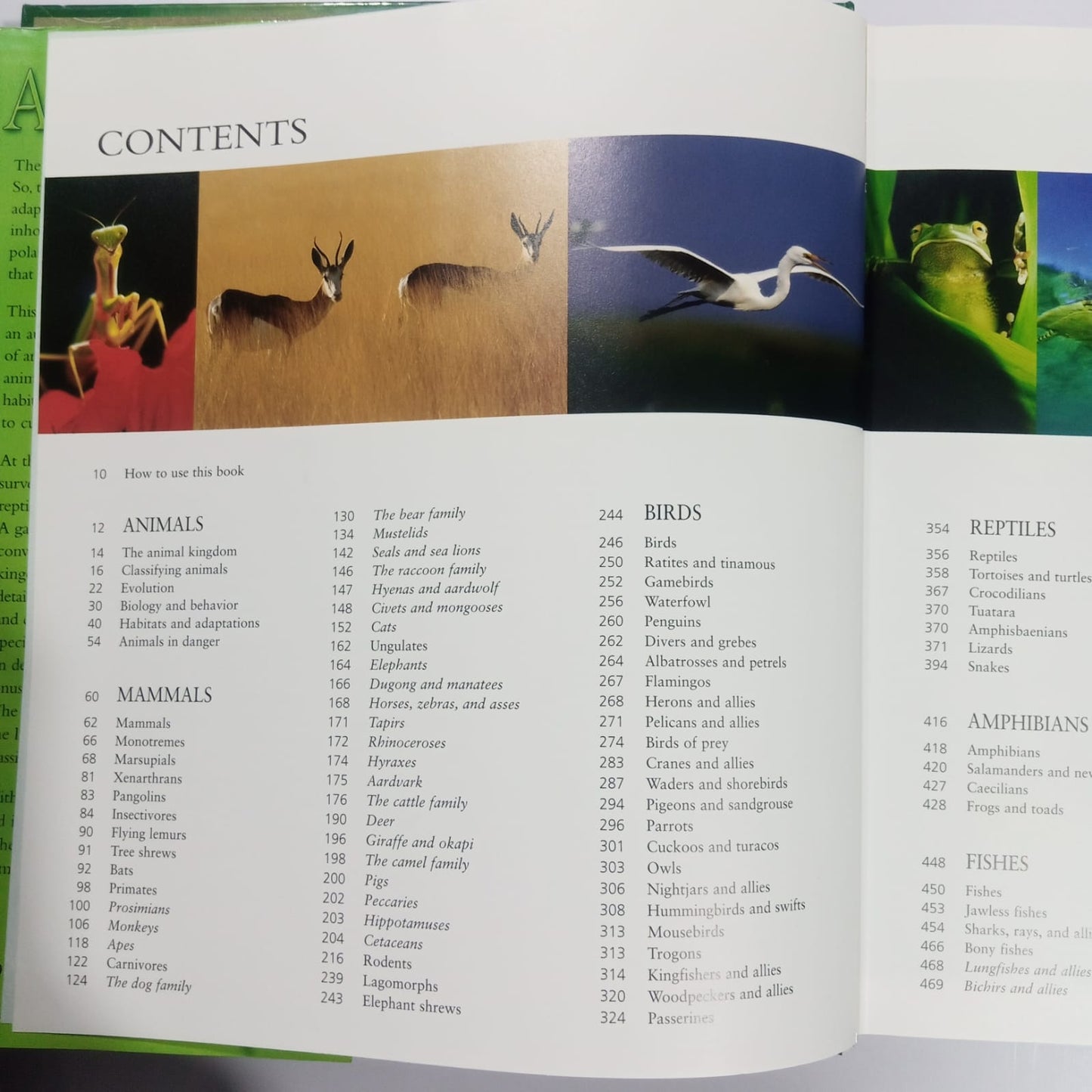 The Encyclopedia of Animals-A Complete Visual Guide (Preloved)