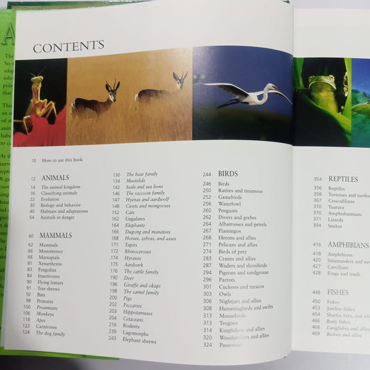 The Encyclopedia of Animals-A Complete Visual Guide (Preloved)