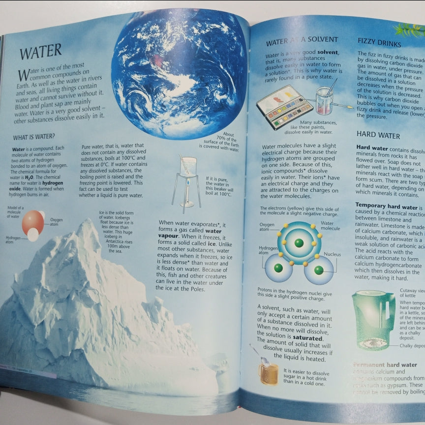 The Usborne Internet-Linked Science Encyclopedia with 1,000 recommended Web sites (Preloved)