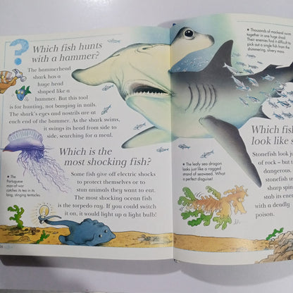 Kingfisher I Wonder WHY Encyclopedia (Preloved)