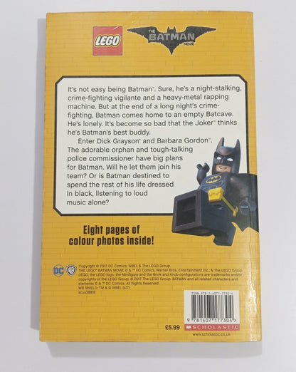 Lego Junior Novel (Preloved)