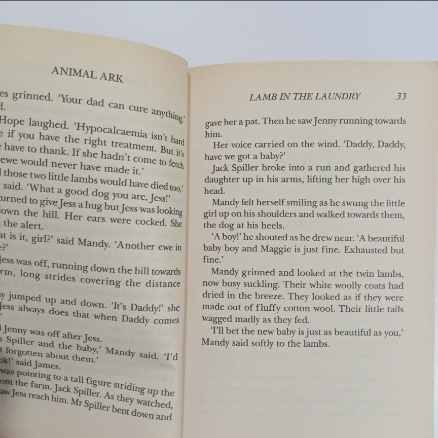 Animal Ark Lamb in the Laundry (Preloved)