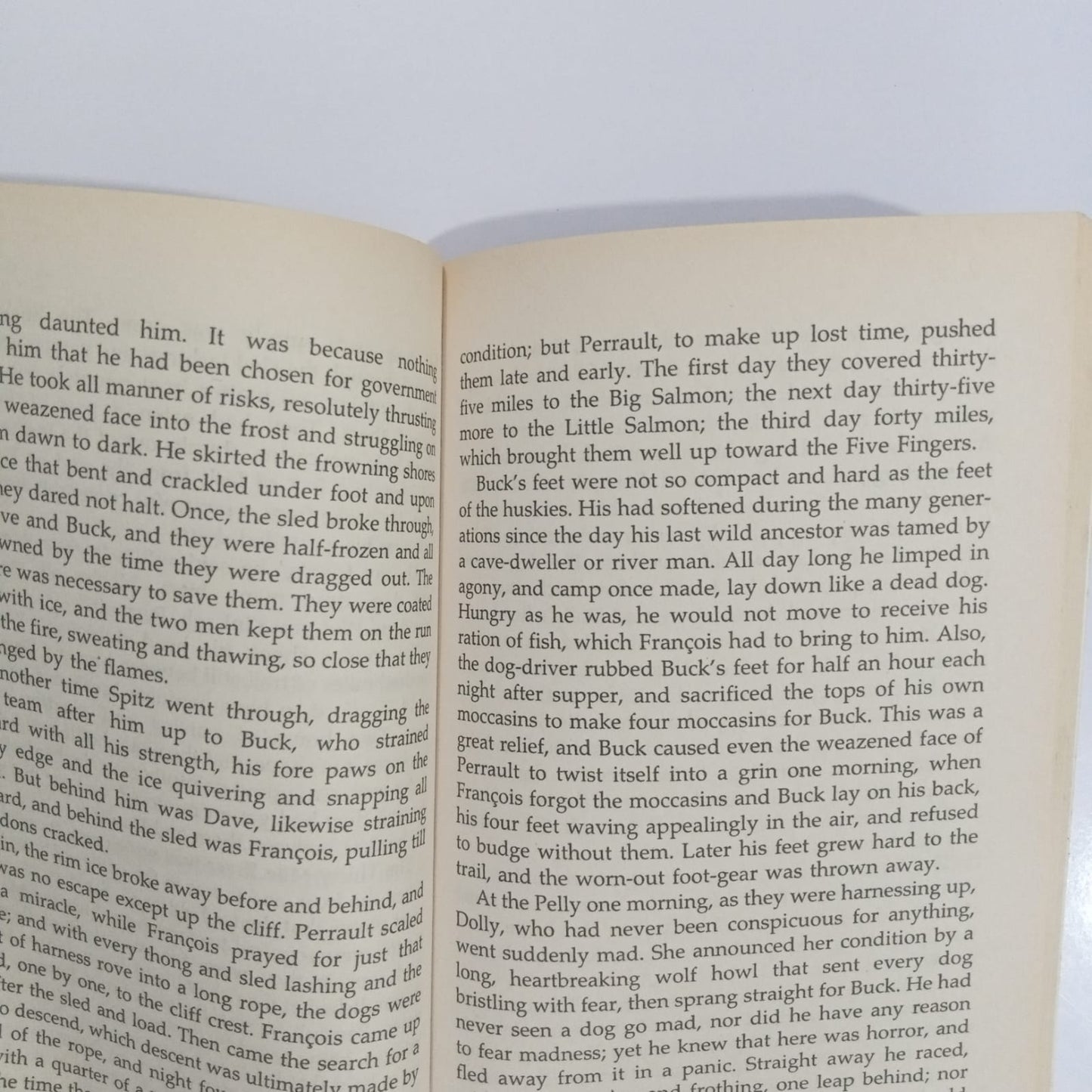 The Call of The Wild (Preloved)