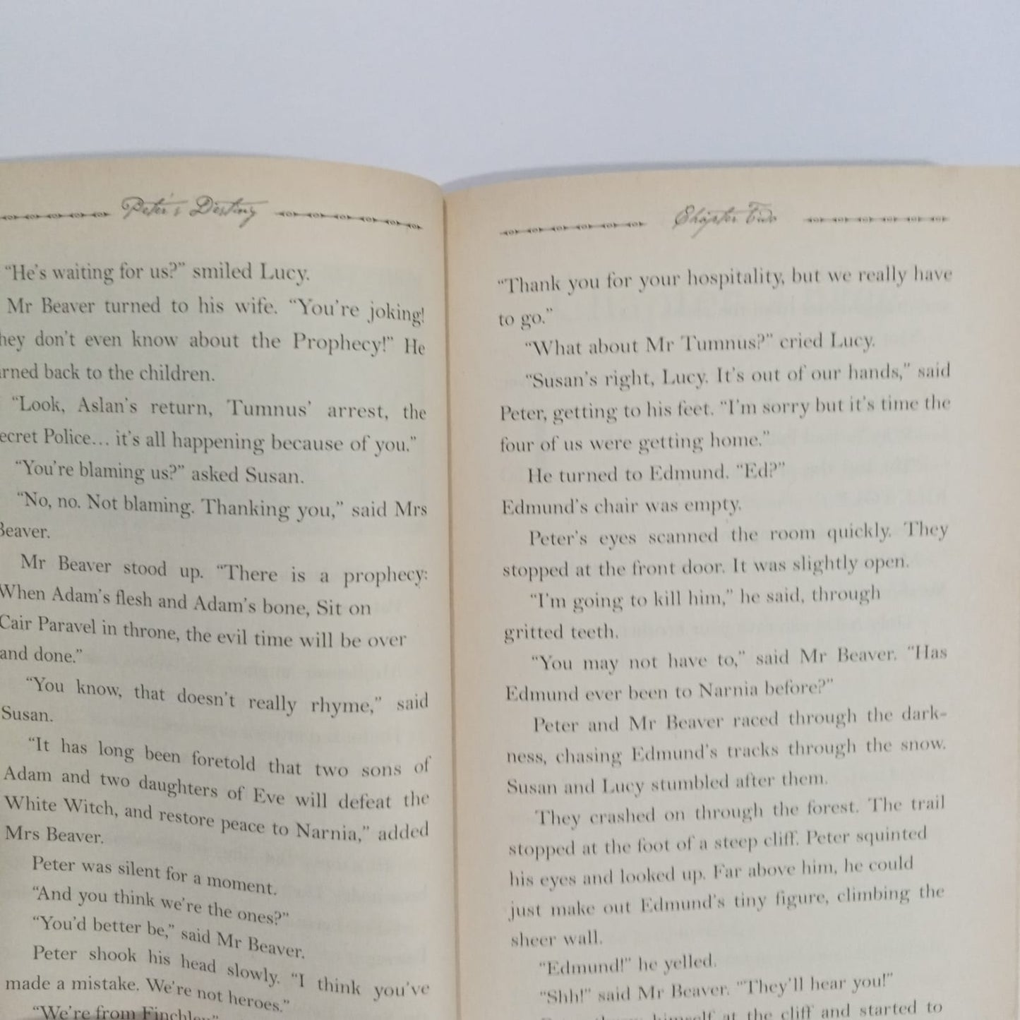 Narnia - Peter's Destiny The Battle for Narnia (Preloved)