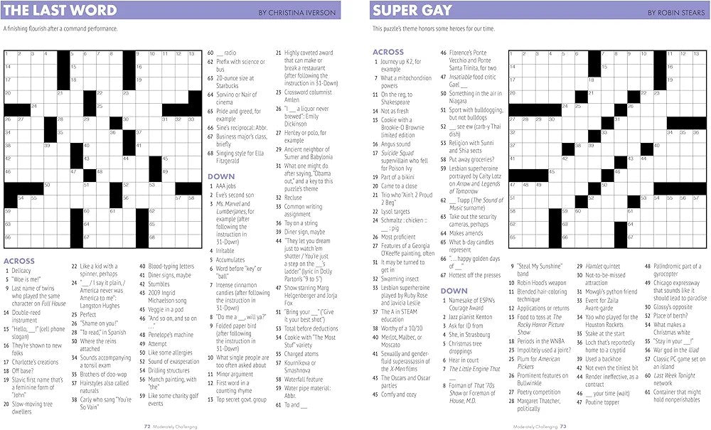 100 Audacious Puzzles