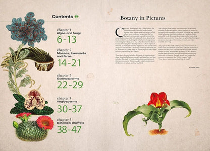 Illustrated Botany: The Virtual Plant Museum