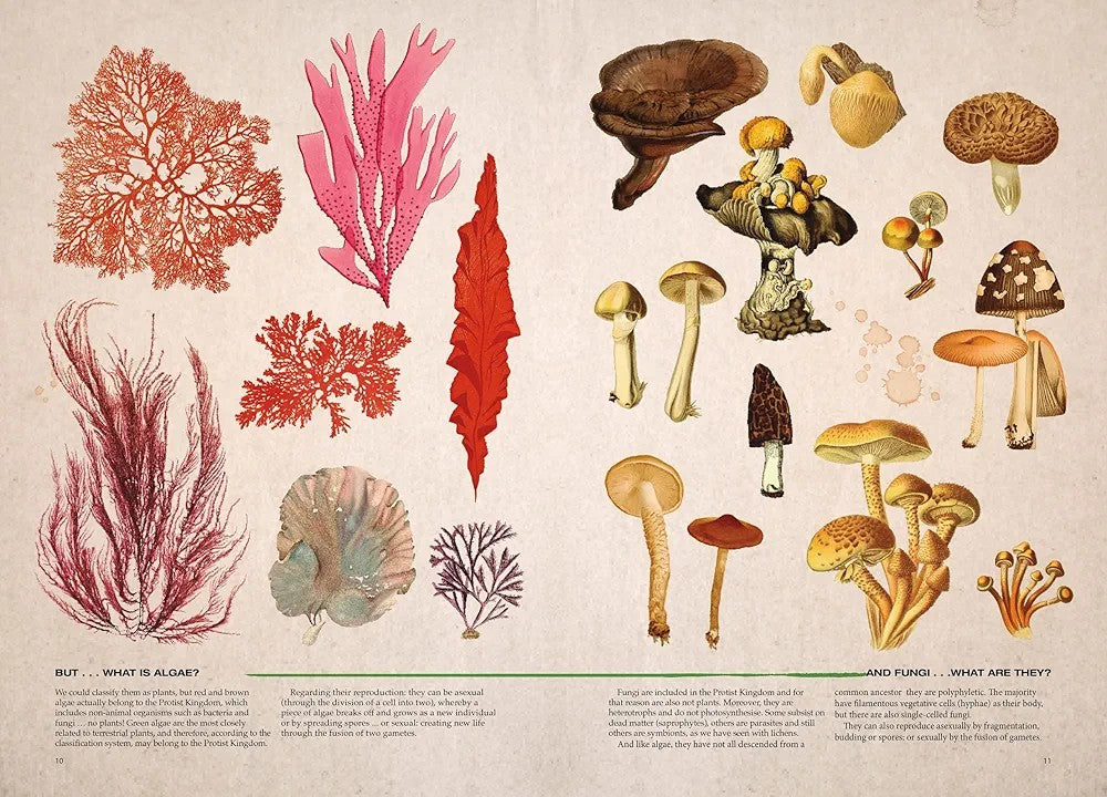 Illustrated Botany: The Virtual Plant Museum