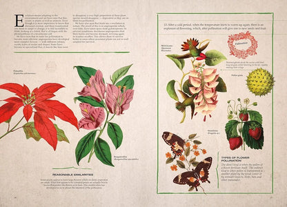 Illustrated Botany: The Virtual Plant Museum