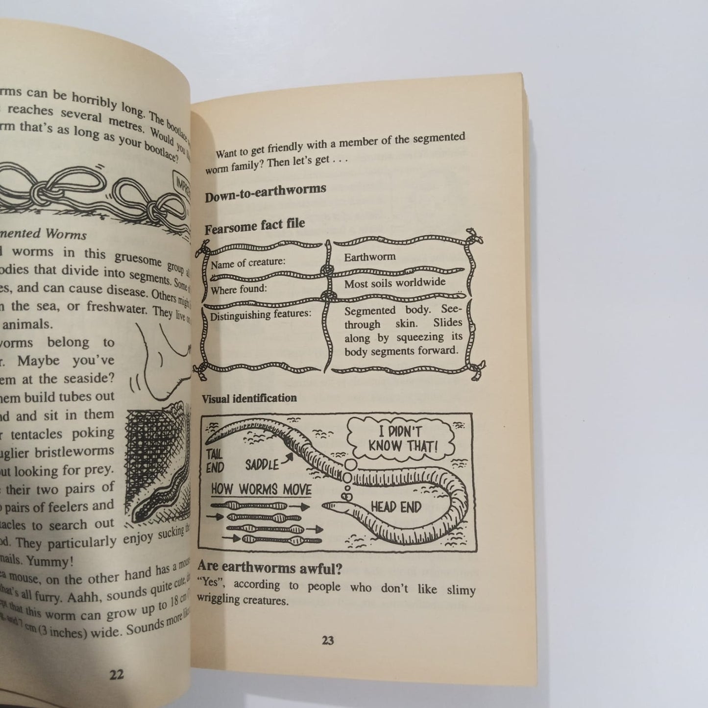 Horrible Science Ugly Bugs  (Preloved)