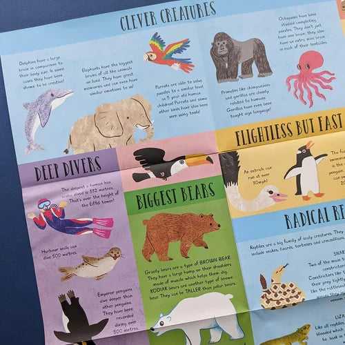 Which Animal Would be a Good Friend? Questions and Answers 