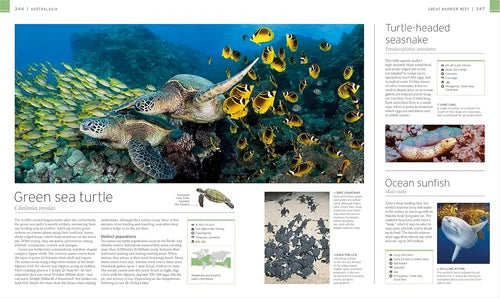 Underwater scene with green sea turtle and ocean sunfish, educational text on the right.